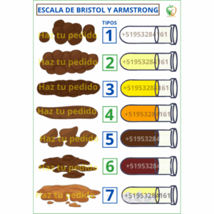 ESCALA DE BRISTOL Y ARMSTRONG A-4 PLASTIFICADO